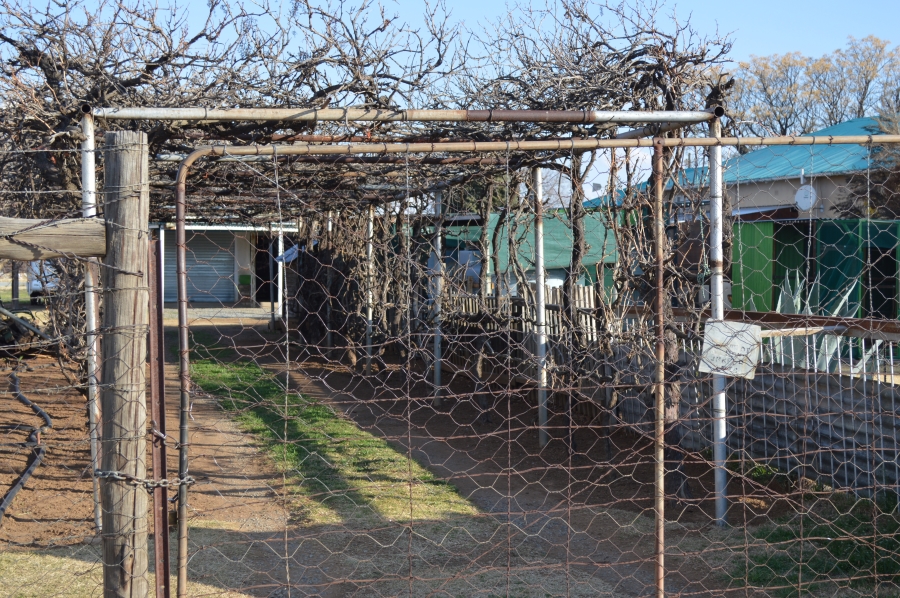 6 Bedroom Property for Sale in Sterkstroom Eastern Cape